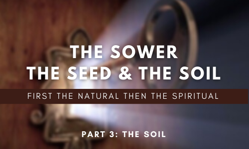 The Sower, The Seed & The Soil
